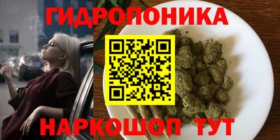 амф Вязьма
