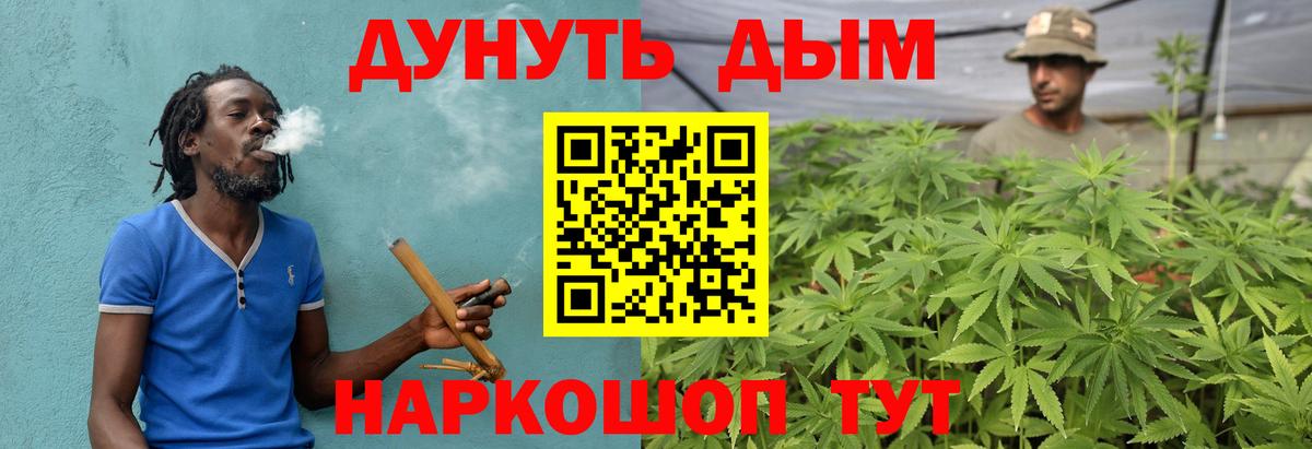 Бошки марихуана Ganja  Шишки марихуана MAZAR  Вход с VPN  Унеча  Марихуана VHQ 